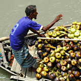 Bangladesh 2008