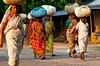 Sreemongal - kobiety wracają ze zbiorami z plantacji herbaty
