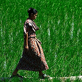 Chittagong Hill Tracts
