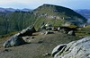 Bucegi, widok z Omula
