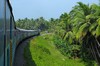 Kerala, na trasie