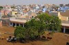 Bikaner