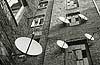 SETI at home?