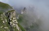 Bucegi