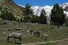 Pakistan - okolice bazy Nanga Parbat