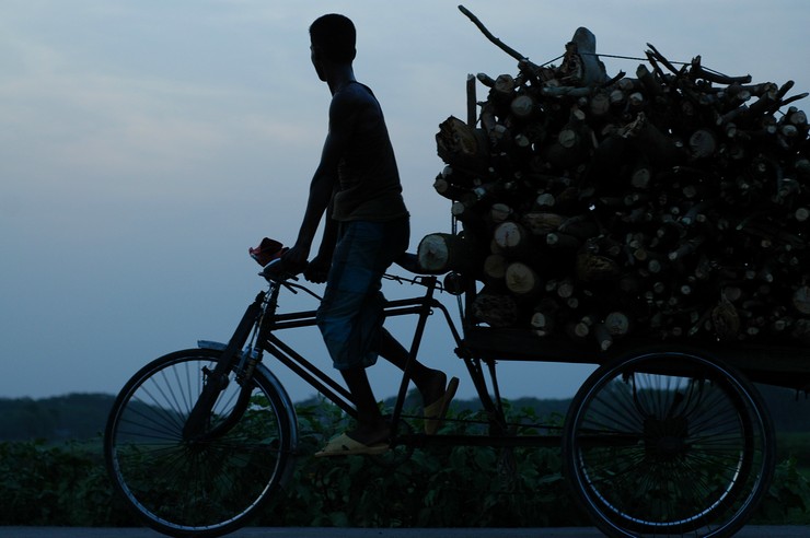 Bamonali (Bangladesh 2008)