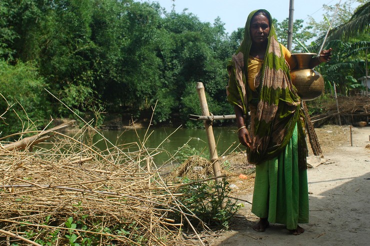 Bamonali (Bangladesh 2008)