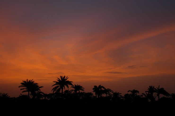 Bamonali (Bangladesh 2008)