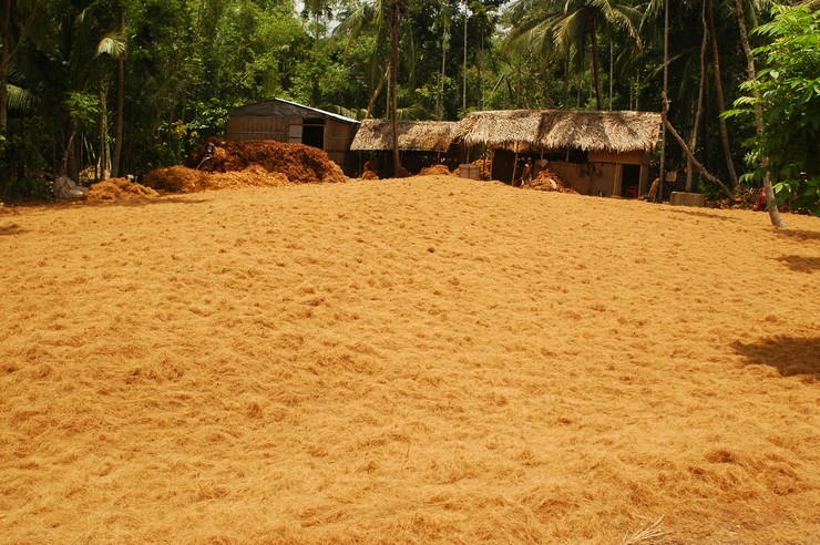 Bagerhat (Bangladesh 2008)