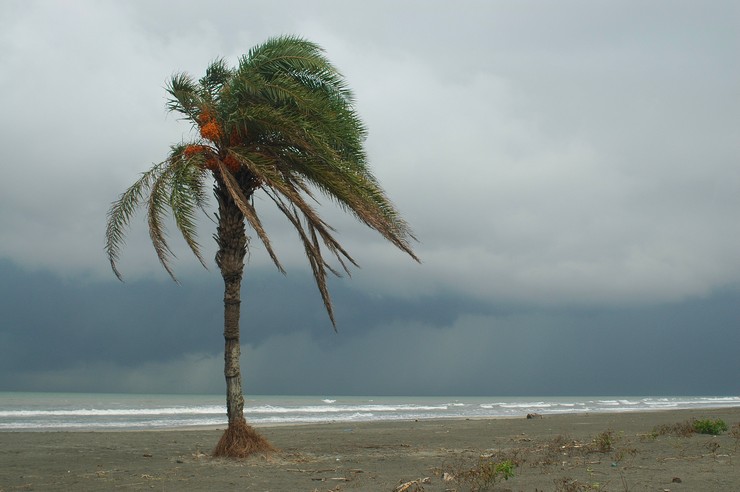 Kuakata (Bangladesh 2008)