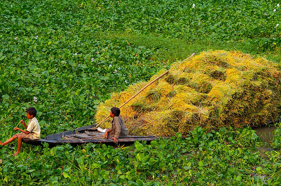 Brahmanbaria (Bangladesz 2010 - część 2/2)