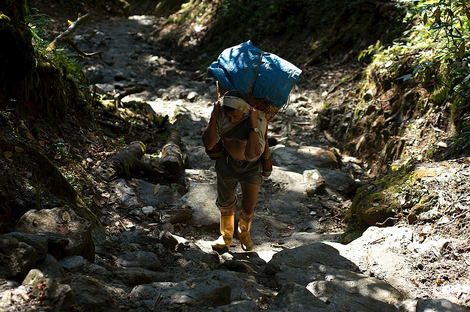 Tragarz (Goecha La trek)