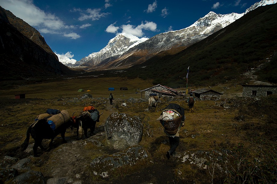 Thangsing (Goecha La trek)