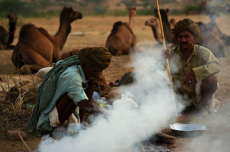 Kolacja (Pushkar Camel Fair)